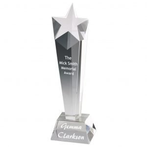 Star Tower Trophy 28cms