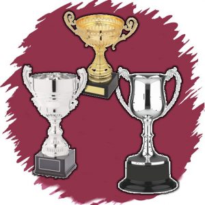 Presentation Trophy Cups