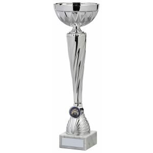 Sporting Cup Chrome Colour
