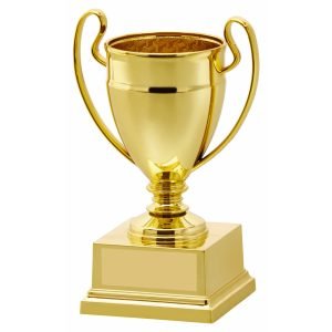 Budget Achievers Cup Trophy2